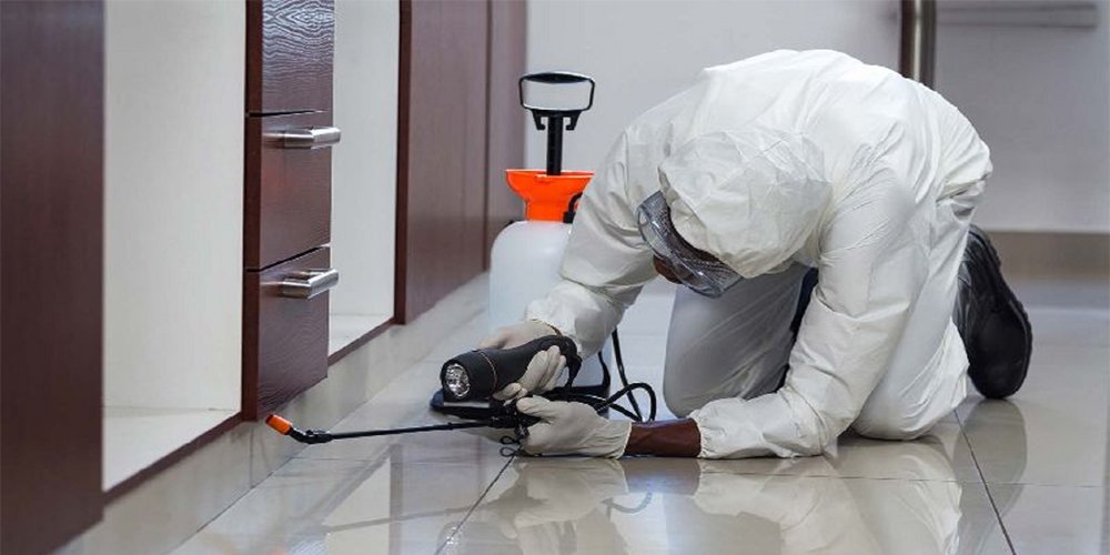 Pest Control Service